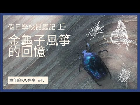看到金龜子代表什麼