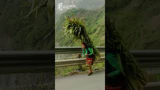 Mã Pì Lèng - Vua của c&aacute;c cung đ&egrave;o tại H&agrave; Giang #Short #shorts