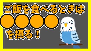 きみはどう食べるか 炭水化物編