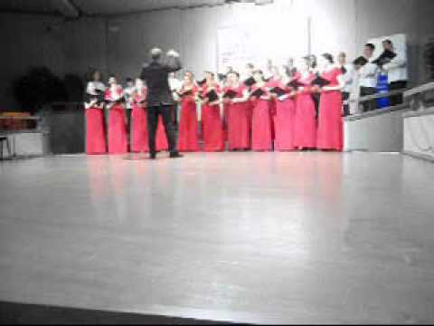 Video Flash Seghizzi 2011 - Svetozar Markovic (a)