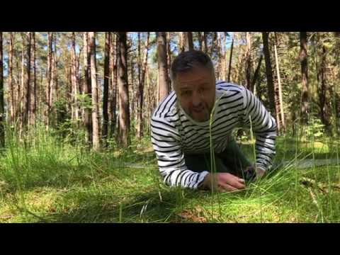 Pytania o jogę: Uttanasana łatwiejsza od Paścimottanasany, czyli kilka słów o grawitacji