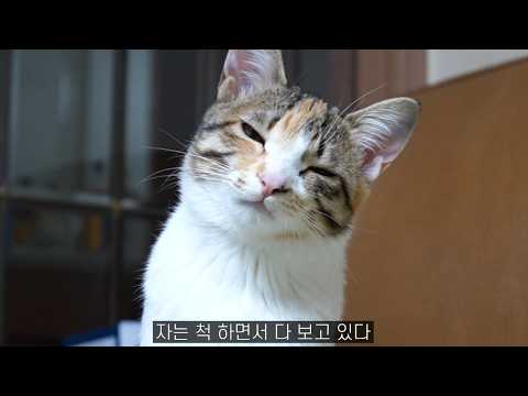 이상한 기술을 터득했다