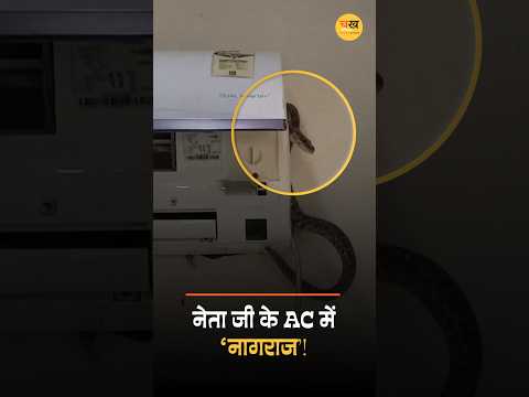 BJP कार्यालय के AC में निकला ‘नागराज’, 5 घंटे चला रेस्क्यू ऑपरेशन!