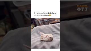 Kkkkk #memes #humor #viral #comedia