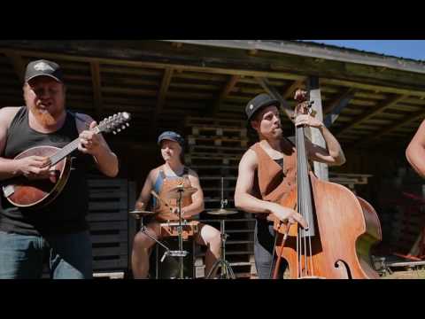 YOU COULD BE MINE by STEVE ´N´ SEAGULLS (LIVE)