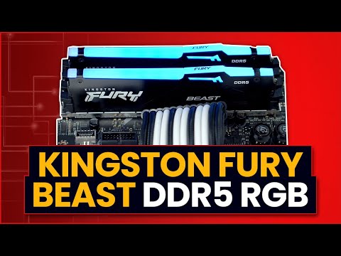 RAM „Kingston KF552C40BBAK2-64“ 64 GB 5200 MT/s DDR5 CL40 DIMM (2 vnt. rinkinys) „FURY Beast RGB“ | „Kingston“ video