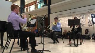 Escape Kevin McKee (Victoria and the Stargazers)