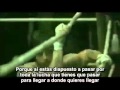Nuestro más grande miedo al éxito