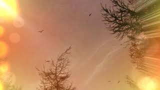 Shakti [Feat. Jade 4 U] - Jade&#39;s Dream