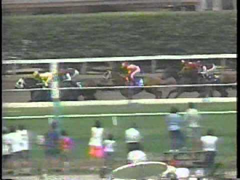 1991 Pacific Classic -- Best Pal
