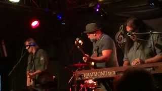 WALTER TROUT !  "I'M BACK"  LIVE   8/9/15   MICHIGAN