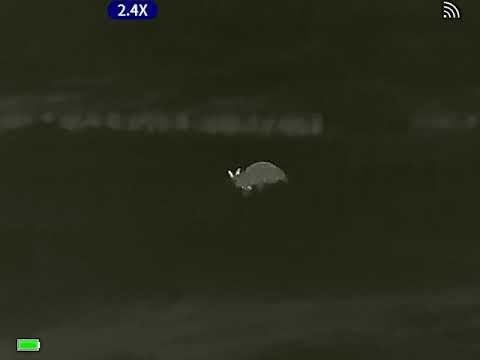 Guide TD420 thermal First look