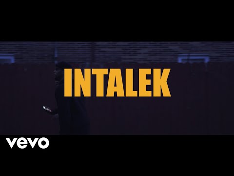 Intalek - The Obama Effect