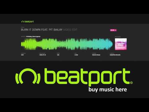 Pit Bailay, Steve Cypress - Burn It Down feat. Pit Bailay (Video Edit)