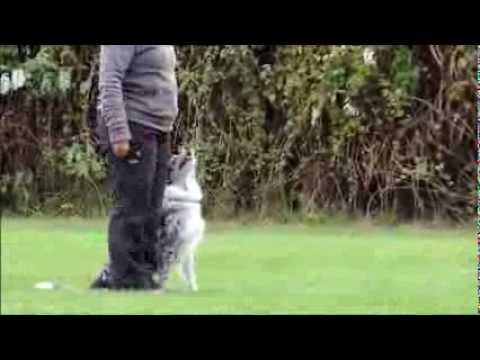 6.10.2013 Kiri Obedience3