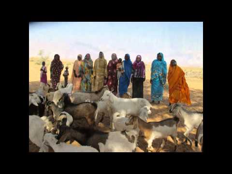 Children face starvation in Darfur now - urgent