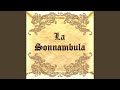 La Sonnambula, Act II: "E fia pur vero, Elvino - ... Signor conte, agli occhi miei" (Lisa,...