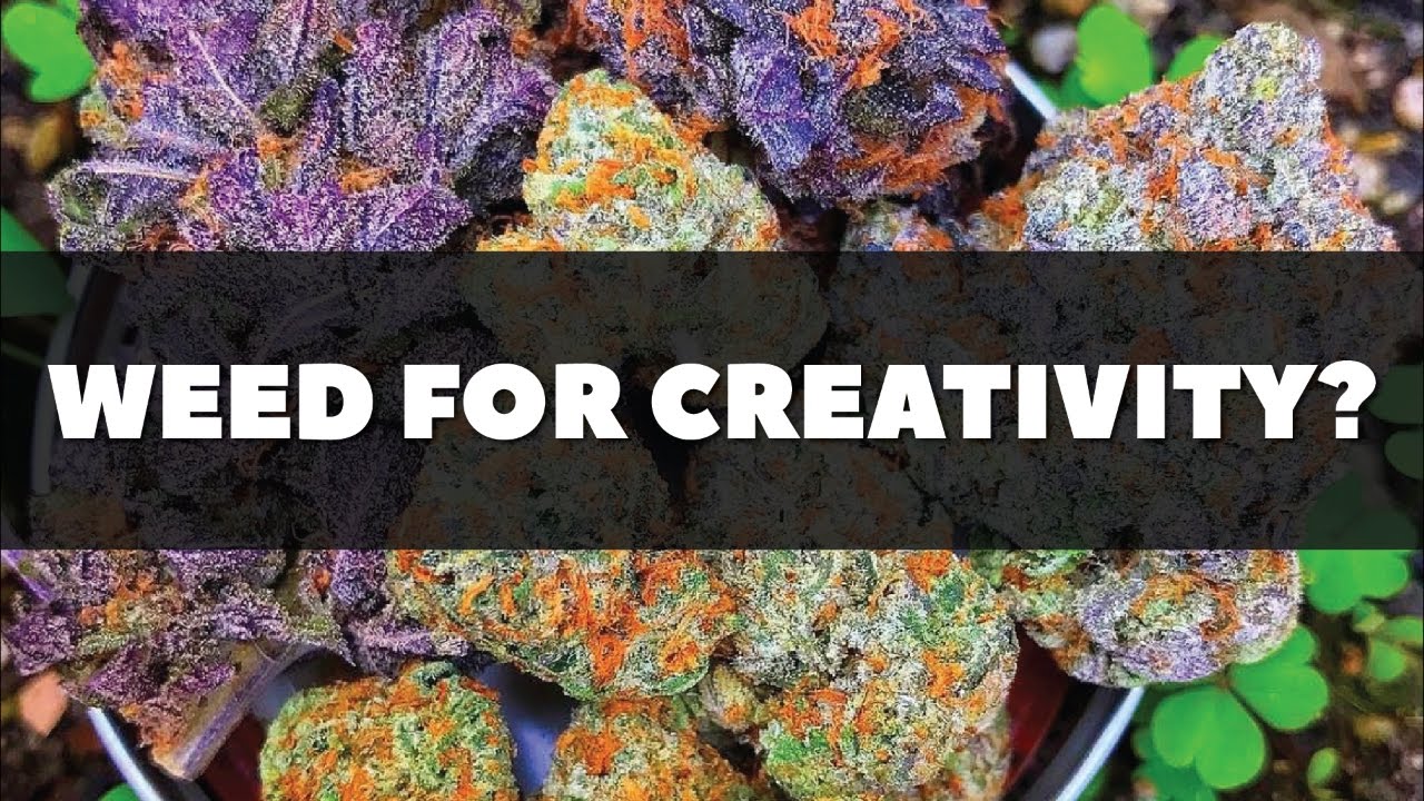 5 WEED STRAINS That Will BOOST CREATIVITY