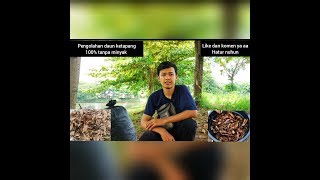 Download lagu Cara mengolah daun ketapang tanpa minyak 100% BISA mp3