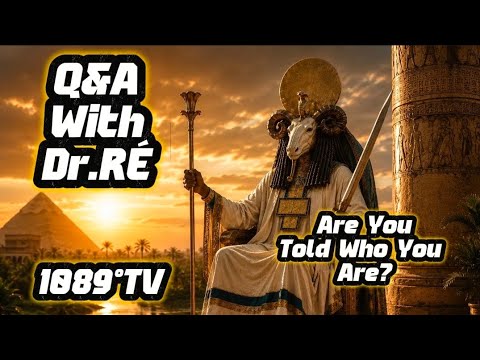 RÉKnowology Replay 3