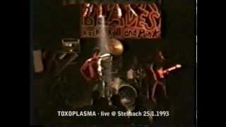 TOXOPLASMA: Fönlied  (live 23.1.1993, Deutschpunk in Stebbach)