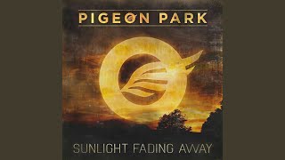 Sunlight Fading Away