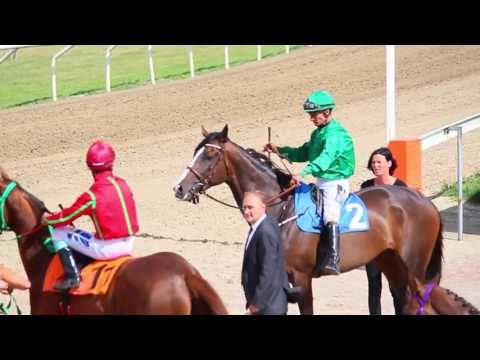 Swedish Derby 2013 Front to Back