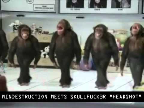 Mindestruction meets Skullfuck3r "HeadShot"