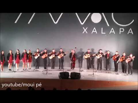 Rondalla Univ. Tec. del Sureste de Veracruz "Hoy te confieso"