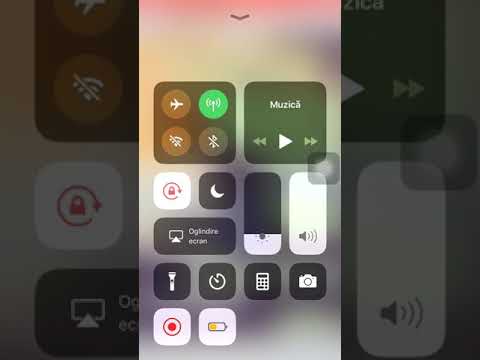 Leoo de la Kuweit  - Simteam  nevoia de tine