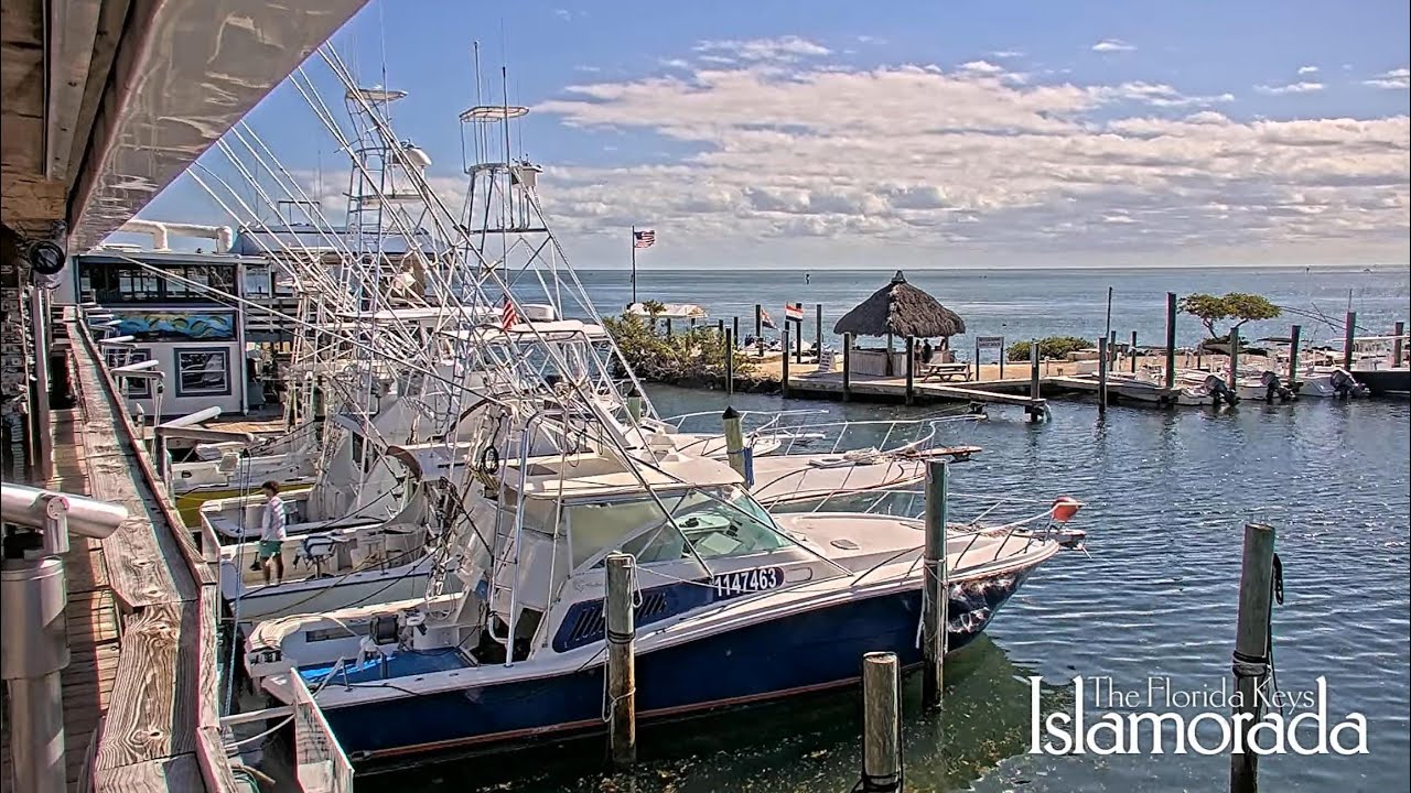 Live webcam view of Whale Harbor Marina Charter Boats