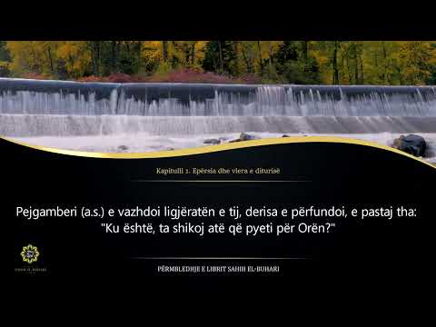 01. Epërsia dhe vlera e diturisë