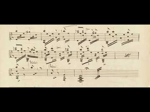 Napoleon Coste - Gran Solo for Guitar, Op. 24 [Score-Video]