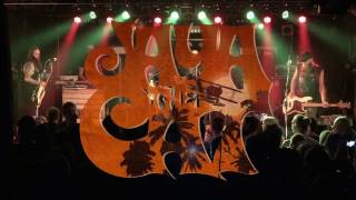 Jaya the Cat  - Closing Time @ treibsAND 25.02.2017