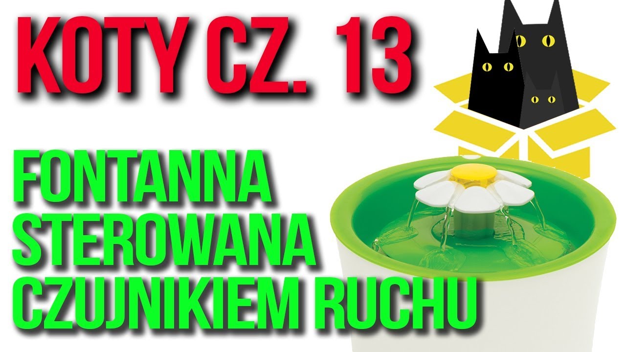 Koty cz.13 Jak zrobić fontannę / poidełko sterowaną czujnikiem ruchu