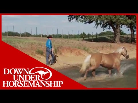 Clinton Anderson: Training a Rescue Horse, Part 8 - Downunder Horsemanship