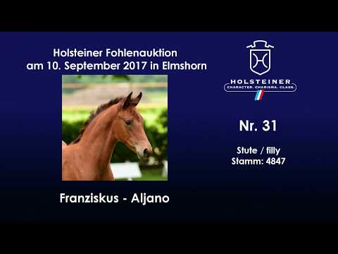 Nr. 31 v. Franziskus - Aljano