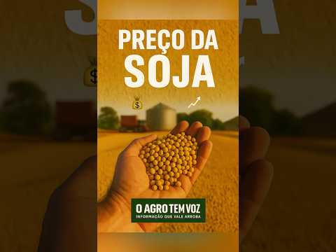Mercado da Soja – O Agro Tem Voz