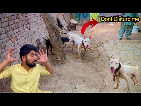 Subha Subha Wohi Howa / Jiska Daar Tha🫣