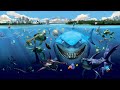 Finding Nemo 2 Disc Collector S Edition 2003 DVD Walkthrogh DISC 2