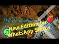 Phir Mohabbat Karne Chala Hai Tu Love Song Lyrics Whatsapp Status Video