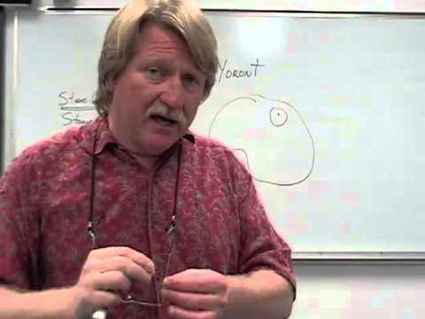 Steel Axes for Stone-Age Australians:  a study of social change