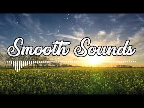 [Vlog Music] Top 20 Songs from Ikson