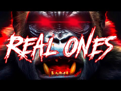 Mr. Wisdom & Dougie FT. Petty Boy Osley - "Real Ones"