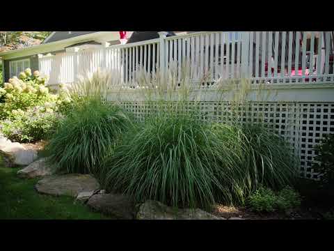 Landscape Design & Installation - 2 Sam Bridge Nursery & Greenhouse