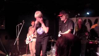 Sometimes Good Guys Don't Wear White (The Standells) - The Baseball Project with Curtiss A