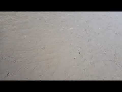 Dunajec woda Zabrzeż