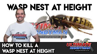 how to kill a wasp nest at height