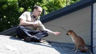 Полицейский спас оказавшуюся на крыше дома собаку