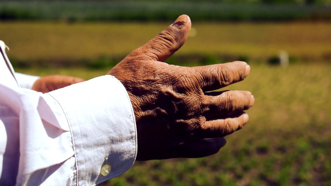 Pastor Dr. Mariano Riscajche, Orando por nuestra Bella Almolonga